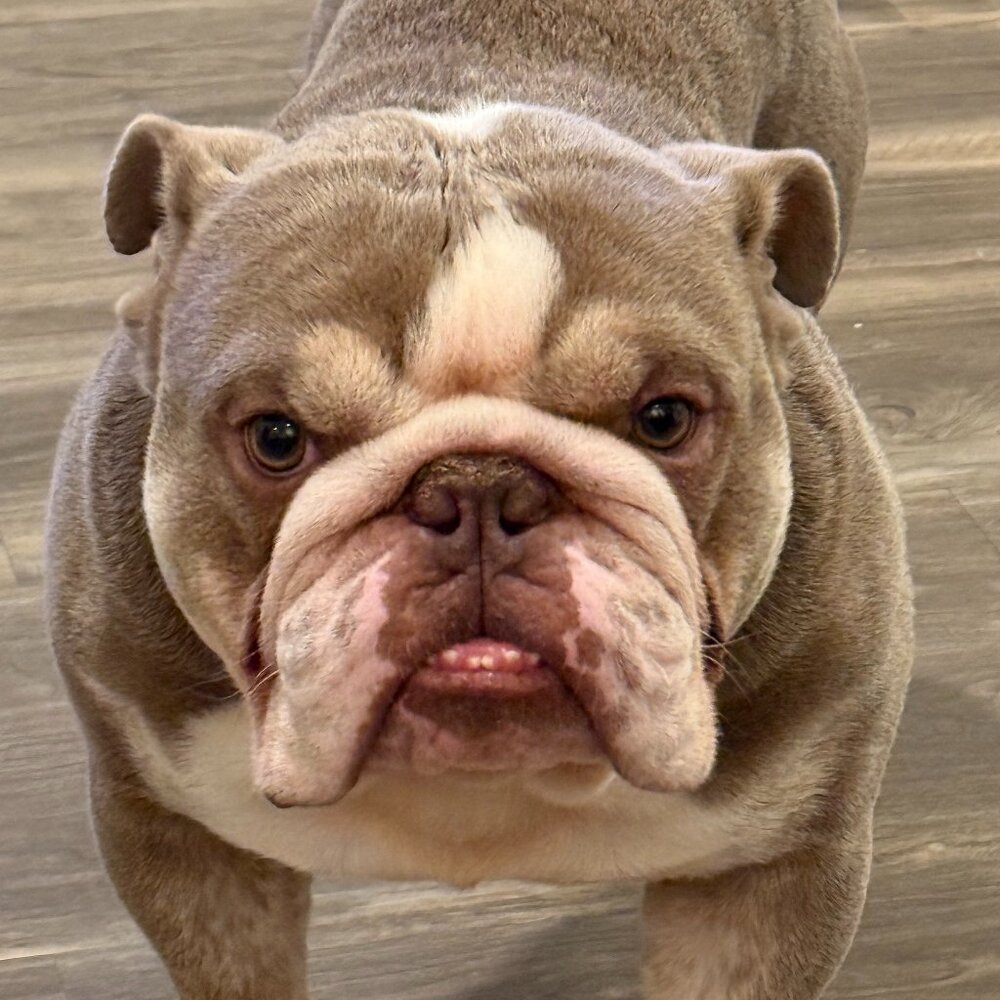 Meet your Posher, Andrew